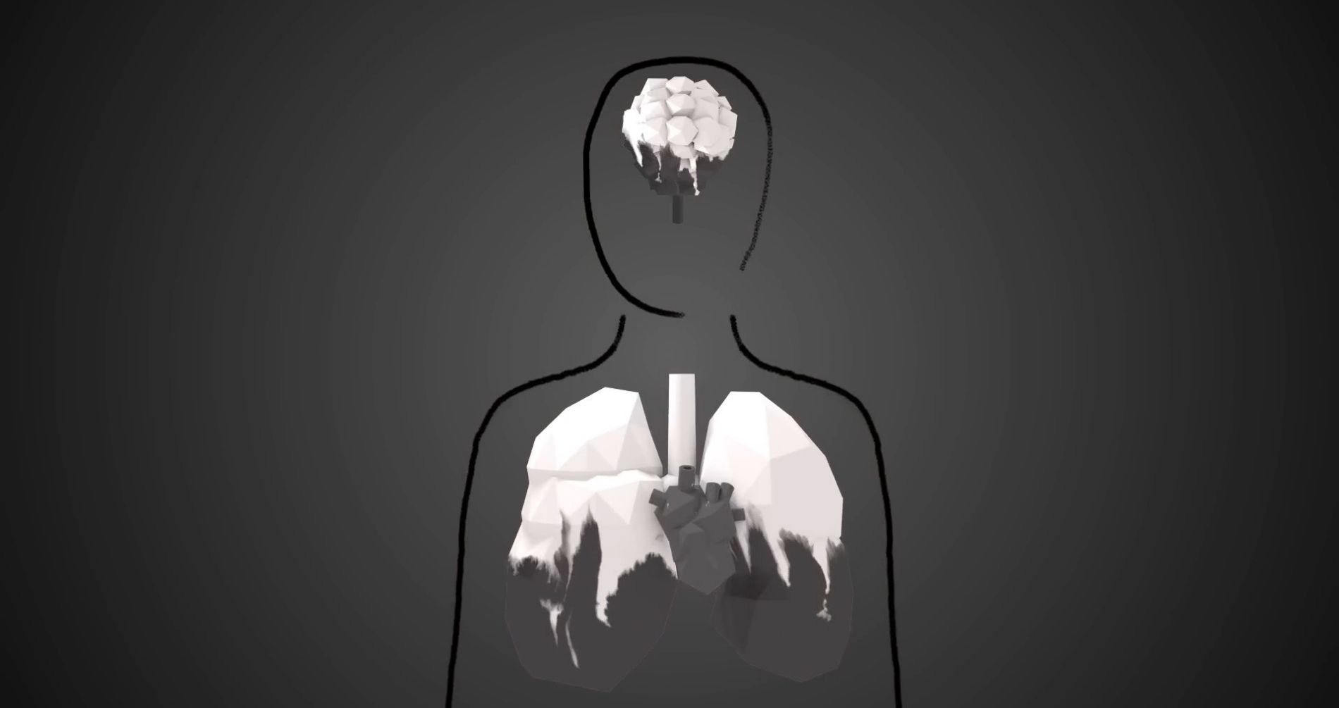 L’inquinamento atmosferico aumenta il rischio di Parkinson 